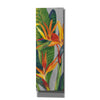 'Bird of Paradise Triptych II' by Tim O'Toole, Canvas Wall Art
