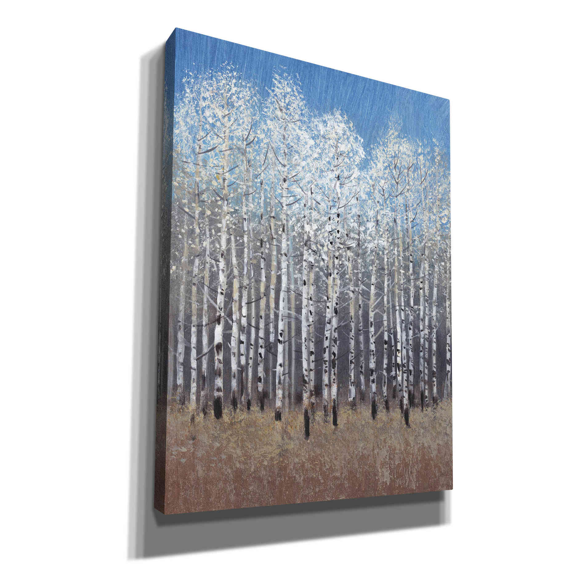 'Cobalt Birches I' by Tim O'Toole, Canvas Wall Art