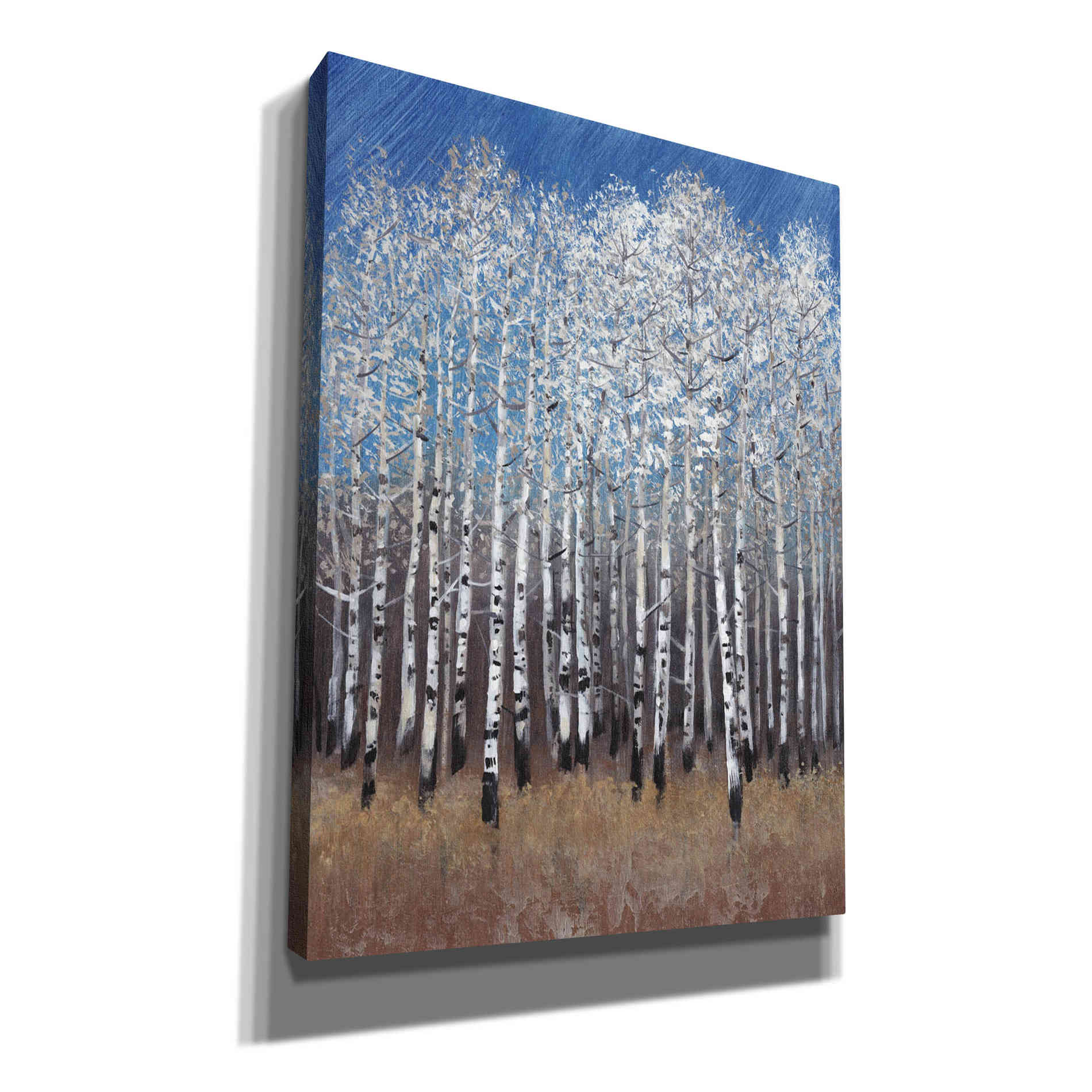 'Cobalt Birches II' by Tim O'Toole, Canvas Wall Art