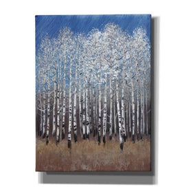 'Cobalt Birches II' by Tim O'Toole, Canvas Wall Art