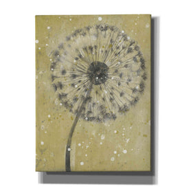 'Dandelion Abstract I' by Tim O'Toole, Canvas Wall Art