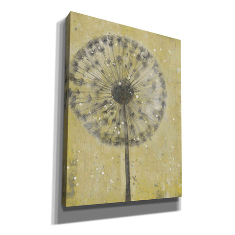 Image of 'Dandelion Abstract II' by Tim O'Toole, Canvas Wall Art