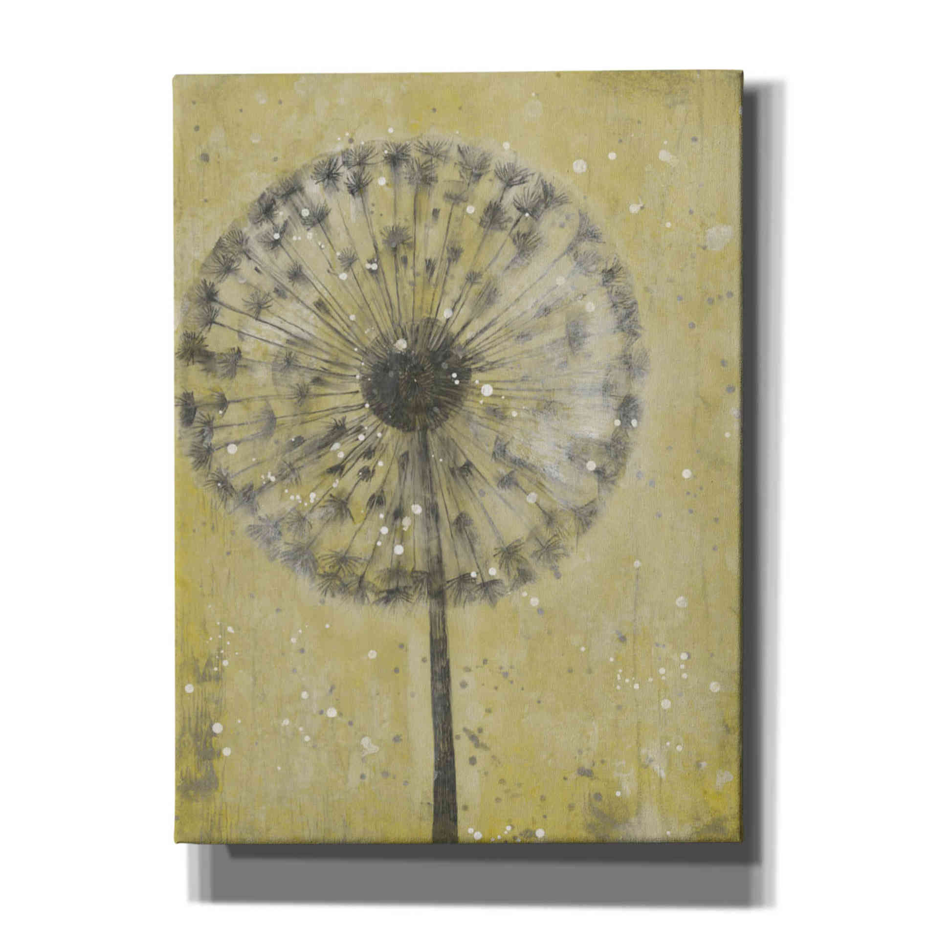 'Dandelion Abstract II' by Tim O'Toole, Canvas Wall Art