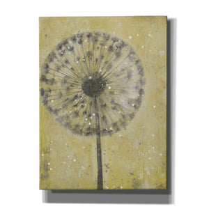 'Dandelion Abstract II' by Tim O'Toole, Canvas Wall Art