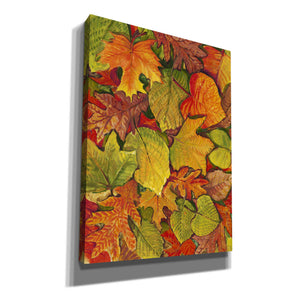 'Fallen Leaves II' by Tim O'Toole, Canvas Wall Art