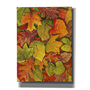 'Fallen Leaves II' by Tim O'Toole, Canvas Wall Art