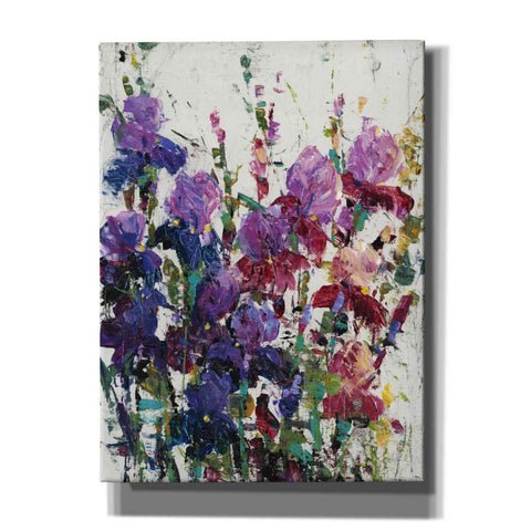 Image of 'Iris Blooming II' by Tim O'Toole, Canvas Wall Art