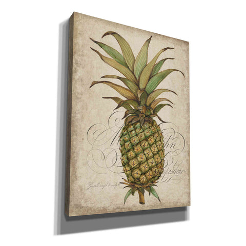 Image of 'Pineapple Study I' by Tim O'Toole, Canvas Wall Art