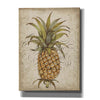 'Pineapple Study II' by Tim O'Toole, Canvas Wall Art