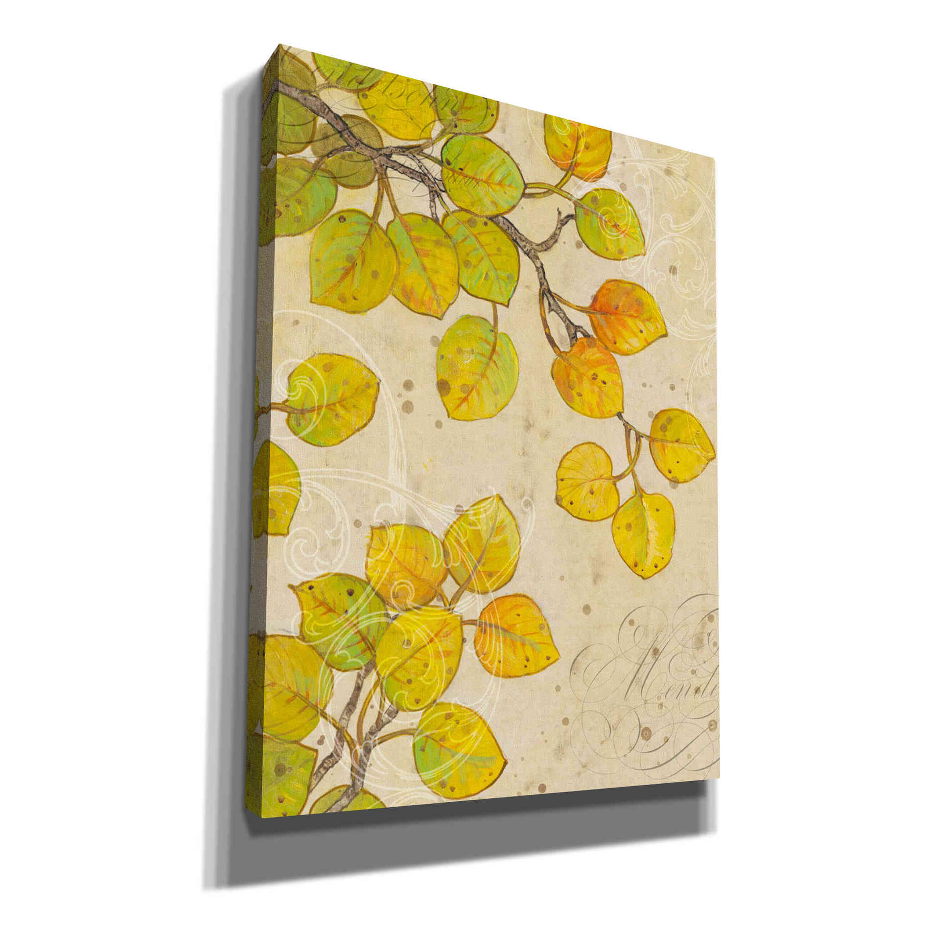 'Turning II' by Tim O'Toole, Canvas Wall Art