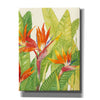 'Watercolor Tropical Flowers IV' by Tim O'Toole, Canvas Wall Art