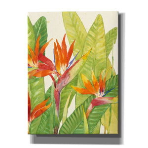 'Watercolor Tropical Flowers IV' by Tim O'Toole, Canvas Wall Art