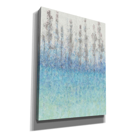 Image of 'Cypress Border I' by Tim O'Toole, Canvas Wall Art