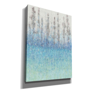 'Cypress Border I' by Tim O'Toole, Canvas Wall Art