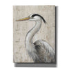 'Grey Heron II' by Tim O'Toole, Canvas Wall Art
