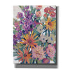 'Spring in Bloom II' by Tim O'Toole, Canvas Wall Art