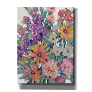 'Spring in Bloom II' by Tim O'Toole, Canvas Wall Art
