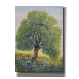 'Standing in the Field II' by Tim O'Toole, Canvas Wall Art