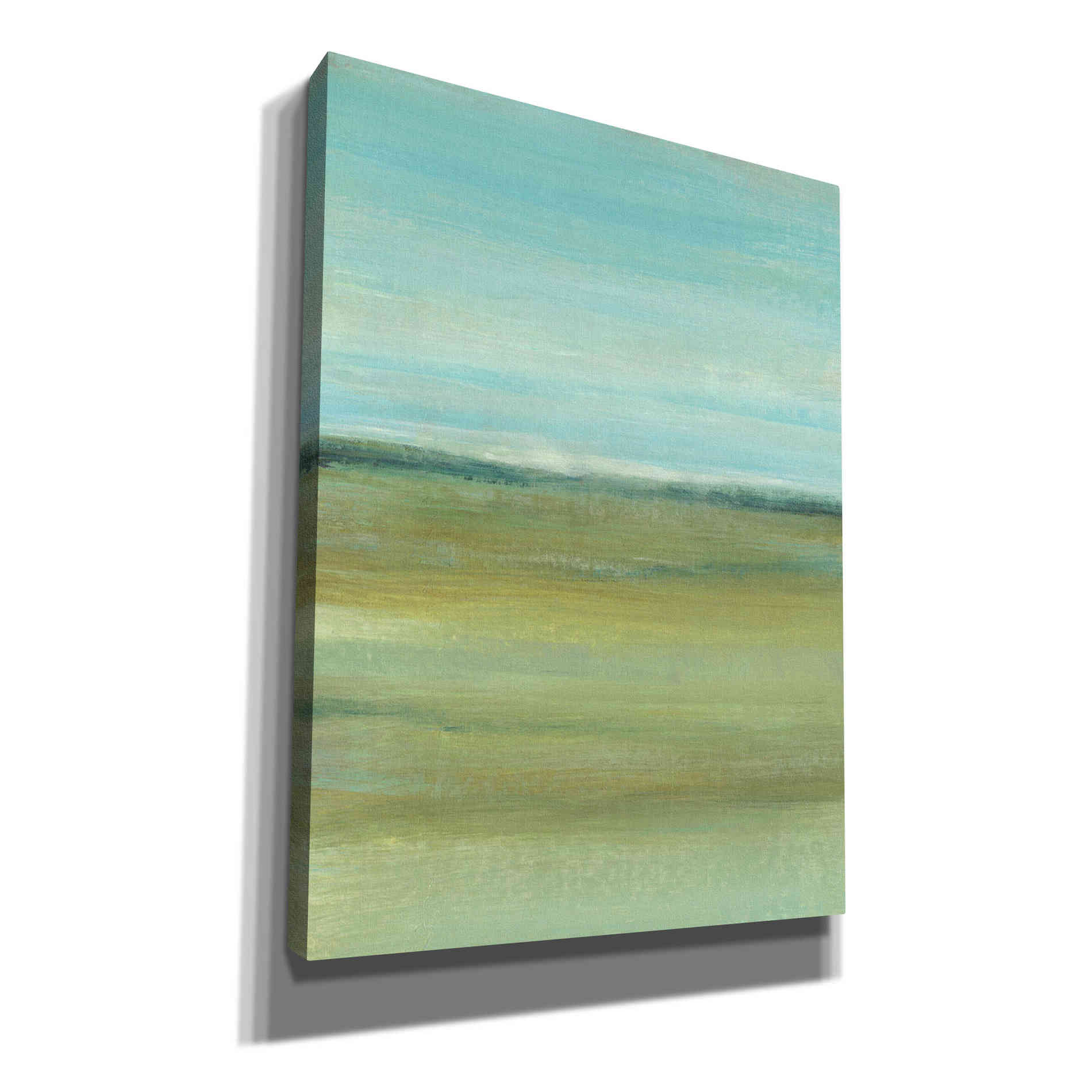 'Terra Verde I' by Tim O'Toole, Canvas Wall Art