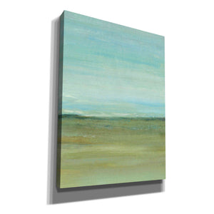 'Terra Verde II' by Tim O'Toole, Canvas Wall Art