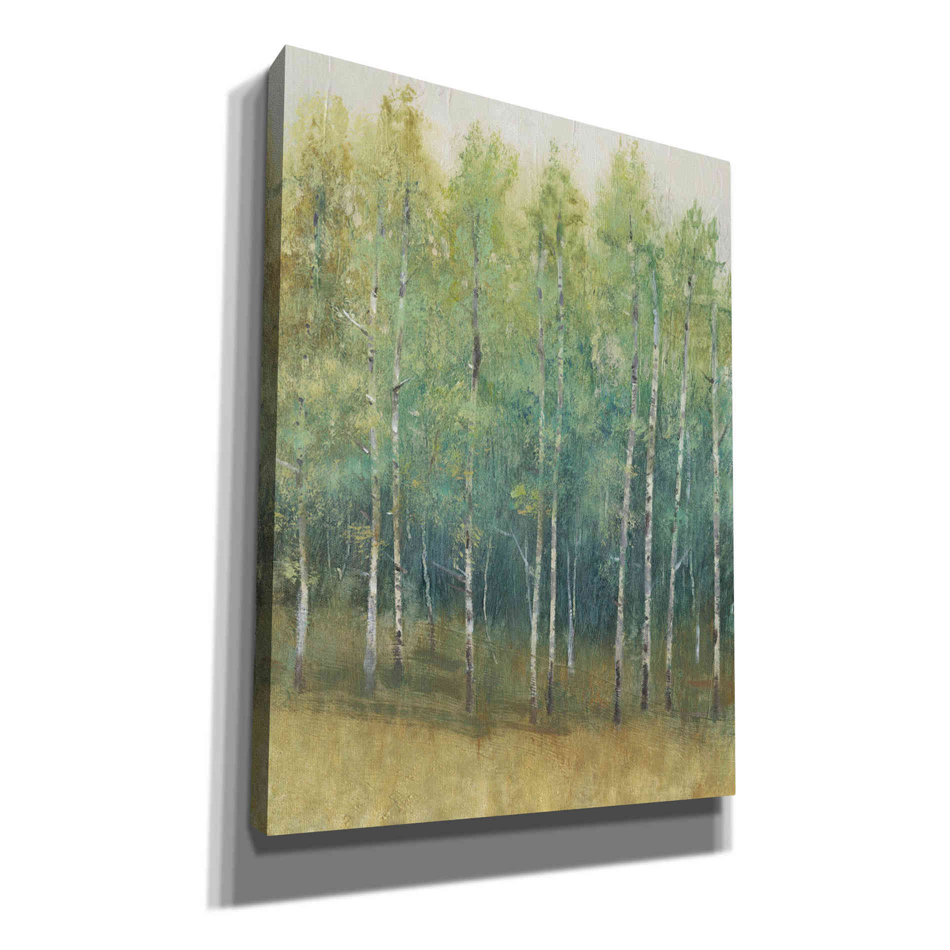 'Woodland Edge II' by Tim O'Toole, Canvas Wall Art