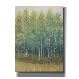 'Woodland Edge II' by Tim O'Toole, Canvas Wall Art