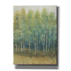 'Woodland Edge II' by Tim O'Toole, Canvas Wall Art