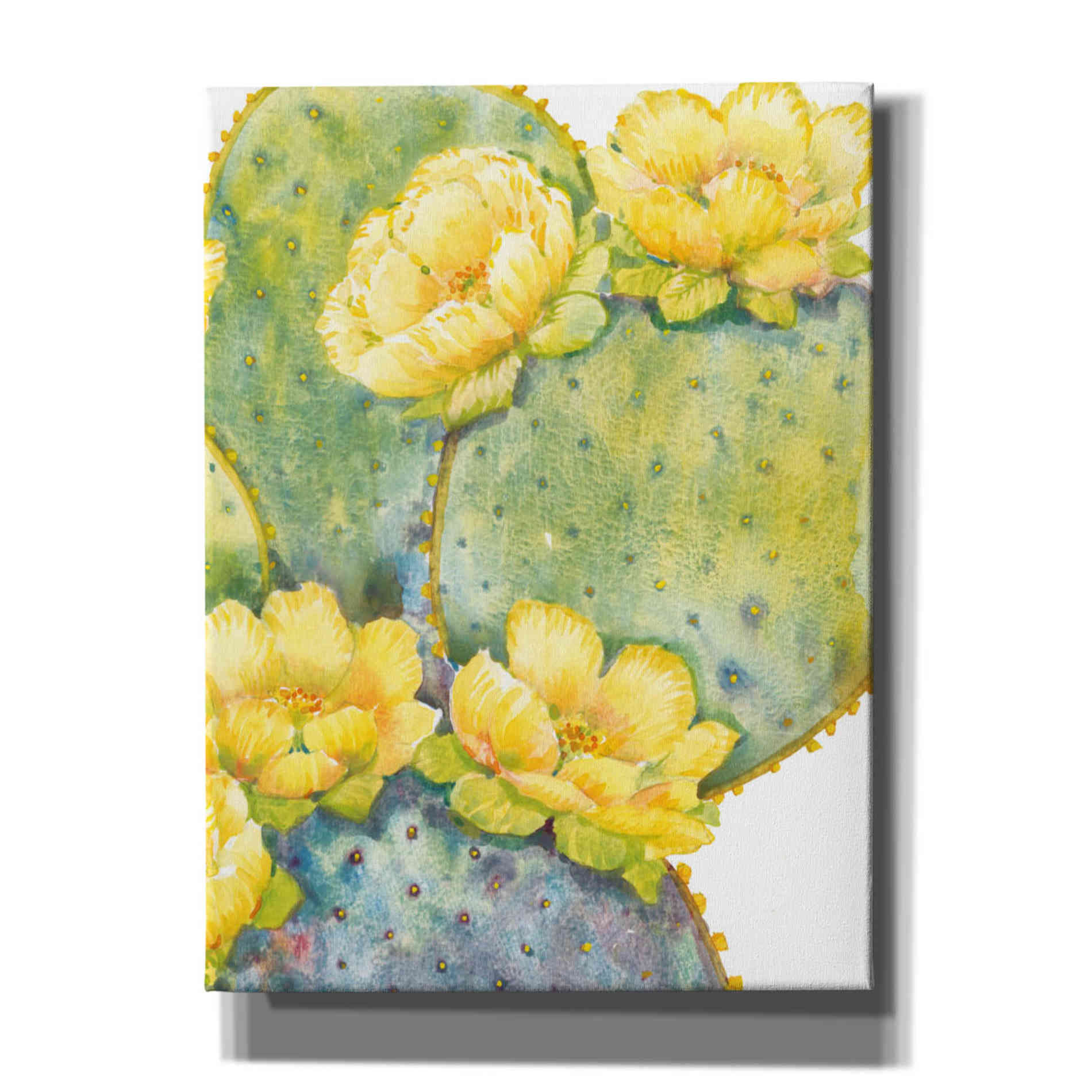 'Cactus on Silver II' by Tim O'Toole, Canvas Wall Art