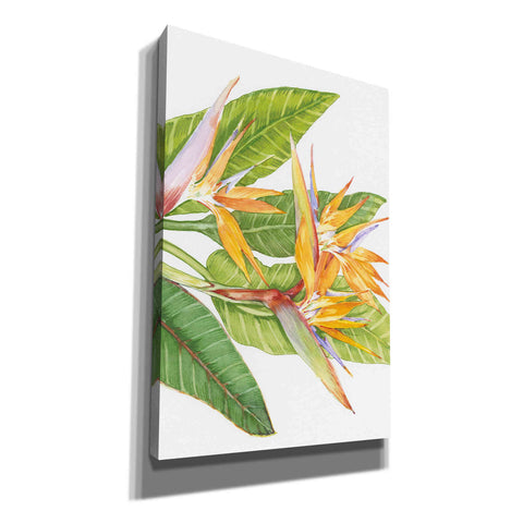 Image of 'Exotic Flowers II' by Tim O'Toole, Canvas Wall Art