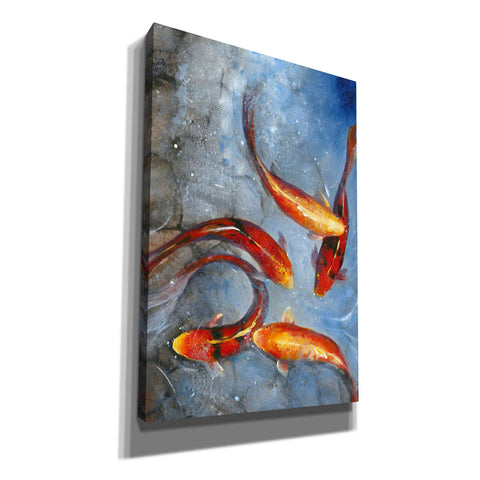 Image of 'Graceful Koi I' by Tim O'Toole, Canvas Wall Art