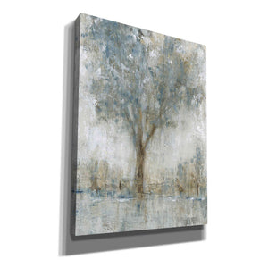 'Morning Glow II' by Tim O'Toole, Canvas Wall Art
