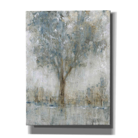 Image of 'Morning Glow II' by Tim O'Toole, Canvas Wall Art