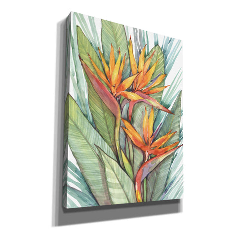 Image of 'Tropical Botanical Paradise II' by Tim O'Toole, Canvas Wall Art