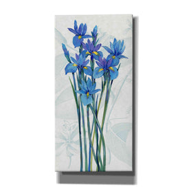 'Blue Iris Panel I' by Tim O'Toole, Canvas Wall Art