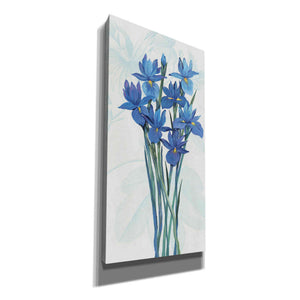 'Blue Iris Panel II' by Tim O'Toole, Canvas Wall Art