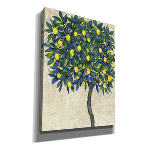 'Lemon Tree Composition I' by Tim O'Toole, Canvas Wall Art