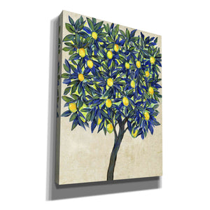 'Lemon Tree Composition II' by Tim O'Toole, Canvas Wall Art