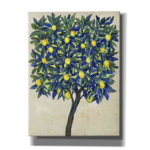 Image of 'Lemon Tree Composition II' by Tim O'Toole, Canvas Wall Art