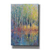 'Reflected Trees II' by Tim O'Toole, Canvas Wall Art