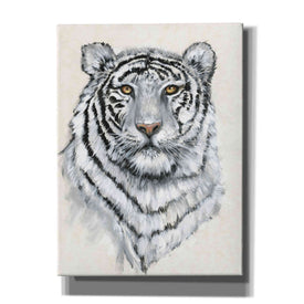 'White Tiger II' by Tim O'Toole, Canvas Wall Art