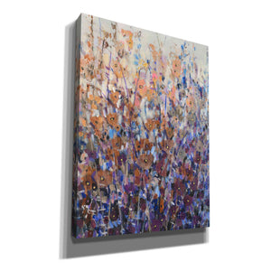 'Fall Wildflowers II' by Tim O'Toole, Canvas Wall Art