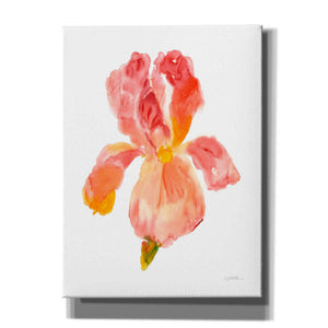 'Sunset Blooms II' by Tim O'Toole, Canvas Wall Art