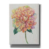 'Multicolor Floral I' by Tim O'Toole, Canvas Wall Art