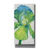 'Iris Bloom in Green II' by Tim O'Toole, Canvas Wall Art