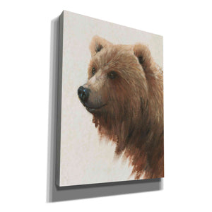 'Western Portrait I' by Tim O'Toole, Canvas Wall Art