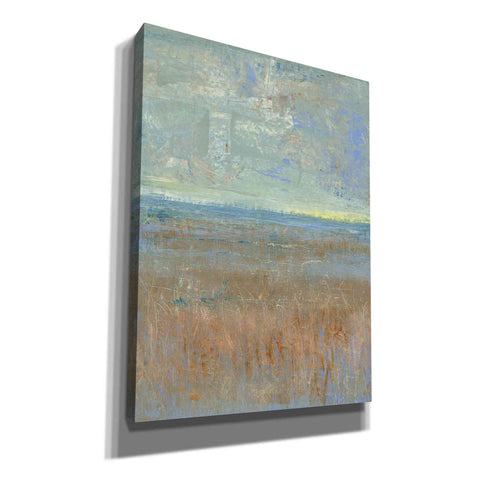 Image of 'Evening Marsh I' by Tim O'Toole, Canvas Wall Art