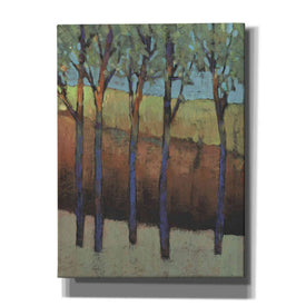 'Glimmer in the Forest I' by Tim O'Toole, Canvas Wall Art