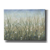 'Bliss II' by Tim O'Toole, Canvas Wall Art
