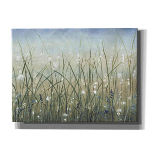'Bliss II' by Tim O'Toole, Canvas Wall Art