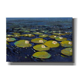 'Lily Pads I' by Tim O'Toole, Canvas Wall Art